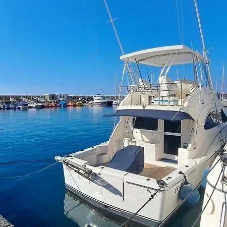 Sunny Los Cristianos Apartment Walk To Beach * Los Cristianos (Tenerife)